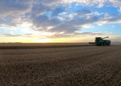 Vente de terres agricoles en placement