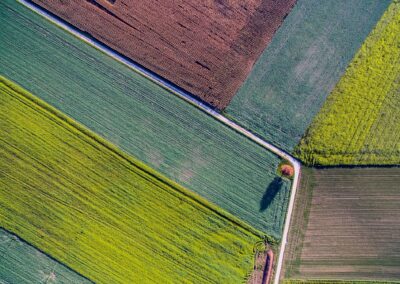 L’indivisibilité du bail rural reporte  le bénéfice du régime des baux de petites parcelles.
